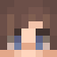 Minecraft players skin