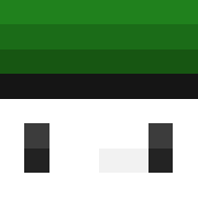 Minecraft profile picture for @enr