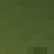 Dr_Cookies_tm's head