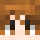HoneyBeesUwU Minecraft head