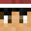 Minecraft players skin