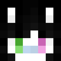 The shop owners Minecraft face