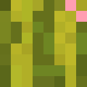 DMinecraftr_VM