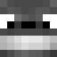 avatar Totoro skin