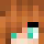Minecraft players skin