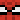 1x1f