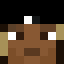 Minecraft players skin