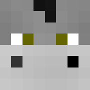 Minecraft profile picture for @Burro