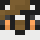 raccowon Minecraft head
