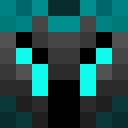 Shadow__Assassin