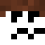 Minecraft avatar for supersuperleon6
