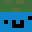 SLOIM_