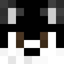 LavishPenguin1