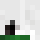 Walloway Minecraft head