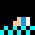 Netarr_
