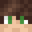 Minecraft players skin