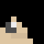 Minecraft players skin