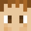 Minecraft players skin
