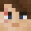 Minecraft players skin