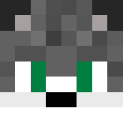 Minecraft-avatar för Huskyman021