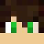 Minecraft players skin
