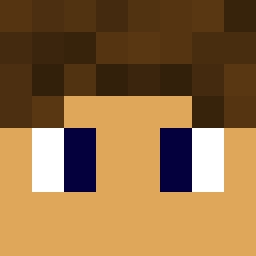 The shop owners Minecraft face