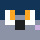 PlasmaPenguin82 Minecraft head