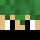 Cameoo Minecraft head