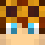 Minecraft players skin