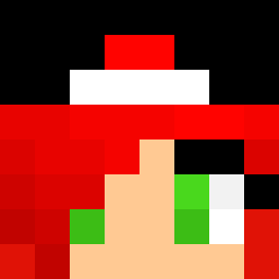 The shop owners Minecraft face