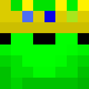 Skin de R0I_Tortue