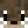 loutre0432