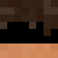 Minecraft avatar for Rad0i