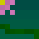 Flaconic