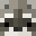 RaccoonCubing Minecraft head
