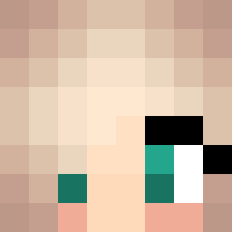 The shop owners Minecraft face