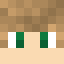 Minecraft players skin