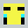 TheNASABee Minecraft head