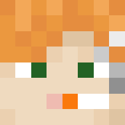 Minecraft profile picture for @dips