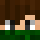 radesiek123 Minecraft head
