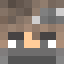 Minecraft players skin