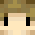 Agent_Tomek1