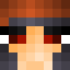 Minecraft players skin