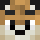 TimidTiger516 Minecraft head