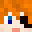 Player skin