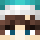 wvbirb Minecraft head
