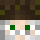 Raskawell Minecraft head
