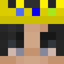 PVPFenco