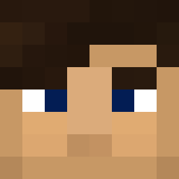 The shop owners Minecraft face