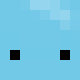 The shop owners Minecraft face